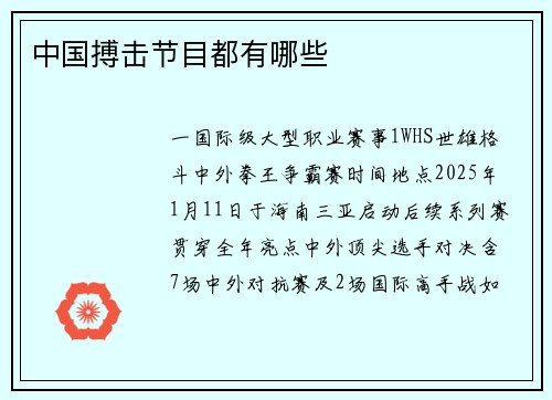 中国搏击节目都有哪些